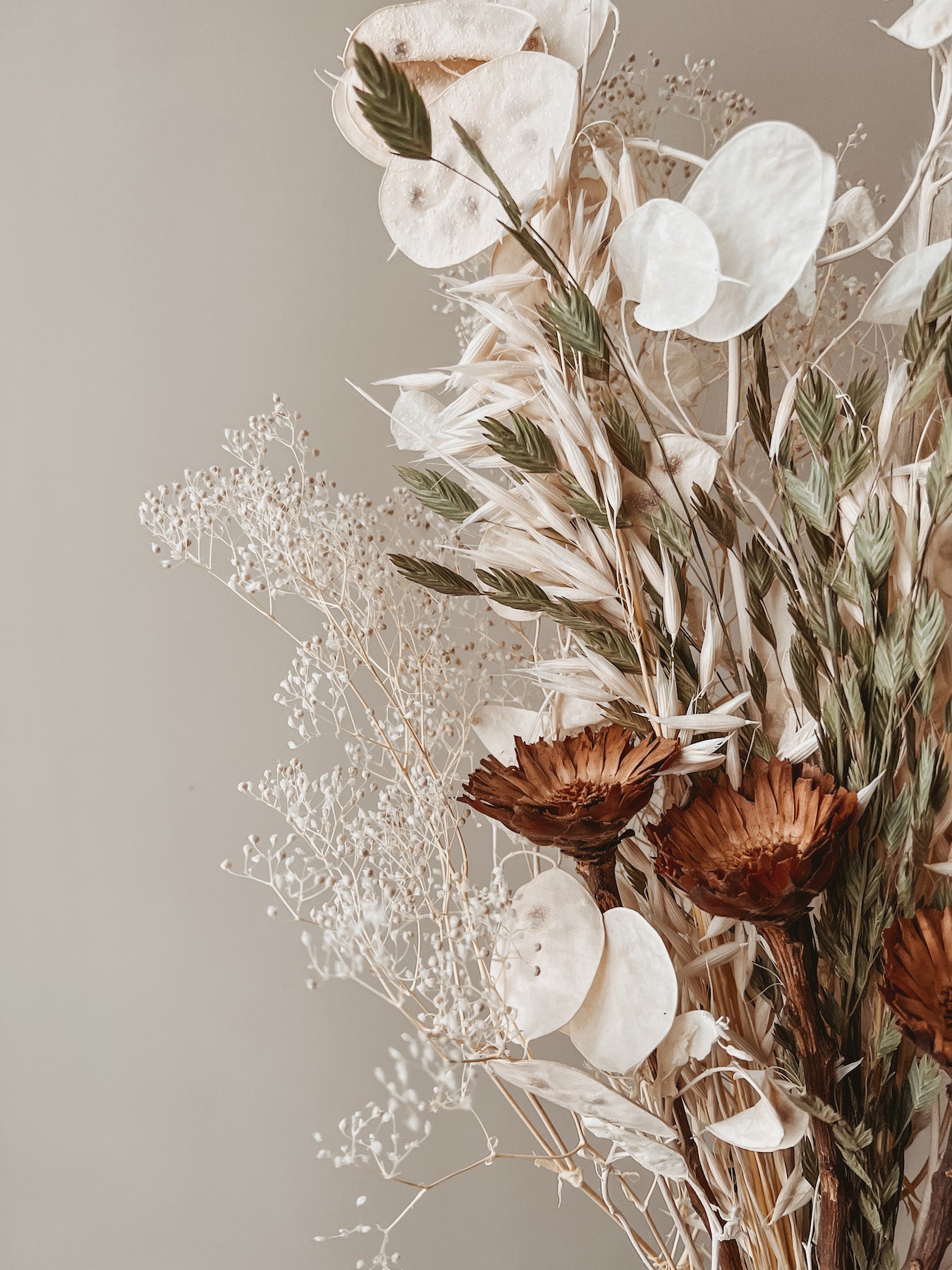 Neutral dried flowers from our dried flower shop with dried honesty, dried oats and protea flowers