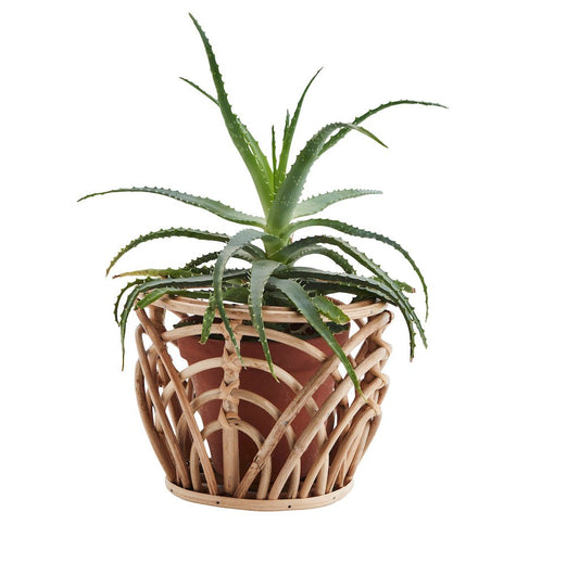 Bamboo Plant Pot, Indoor *Pre-Order* - Ivy Nook