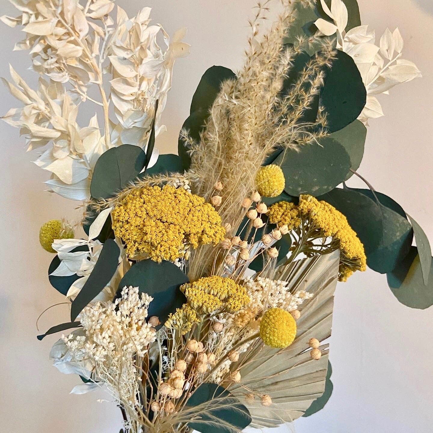 Dried Achillea Parker's Variety, Yellow - Ivy Nook