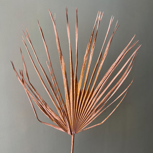 Dried Sun Palm Leaf - Pink Coral - Ivy Nook