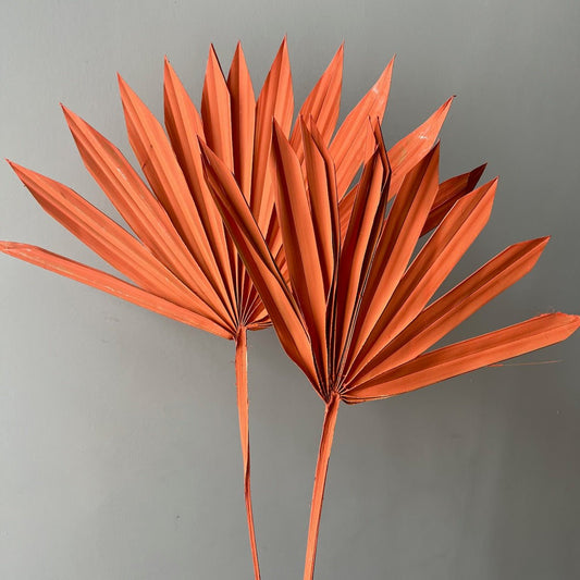 Dried Sun Palm Spear - Orange - Ivy Nook