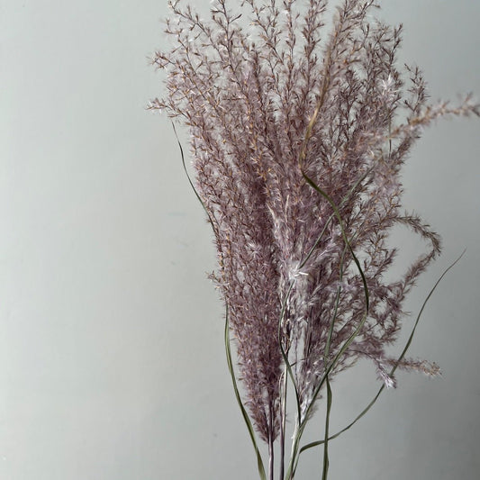 Fluffy Miscanthus Dried Grass Bunch - Natural Lilac - Ivy Nook