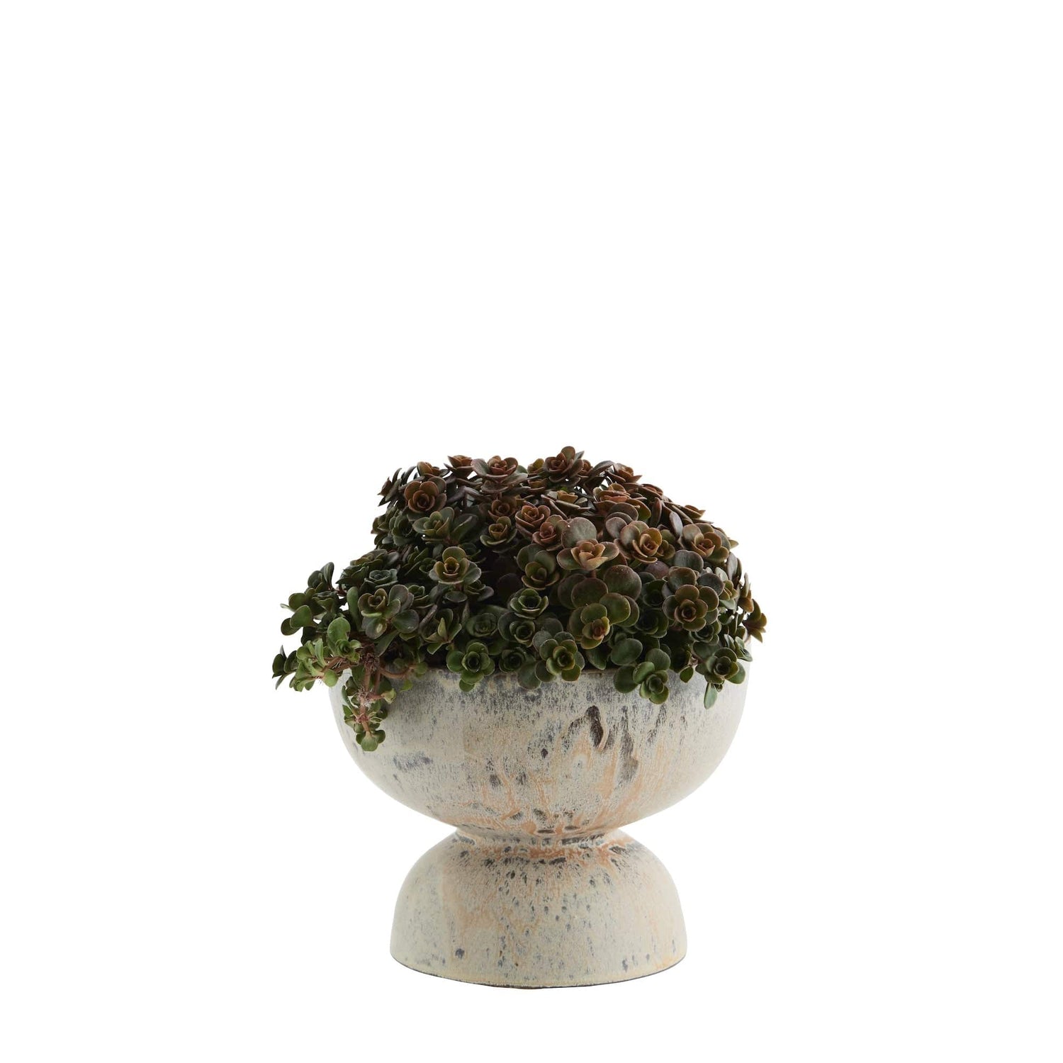 Marbled Bowl Stoneware Pot - Ivy Nook