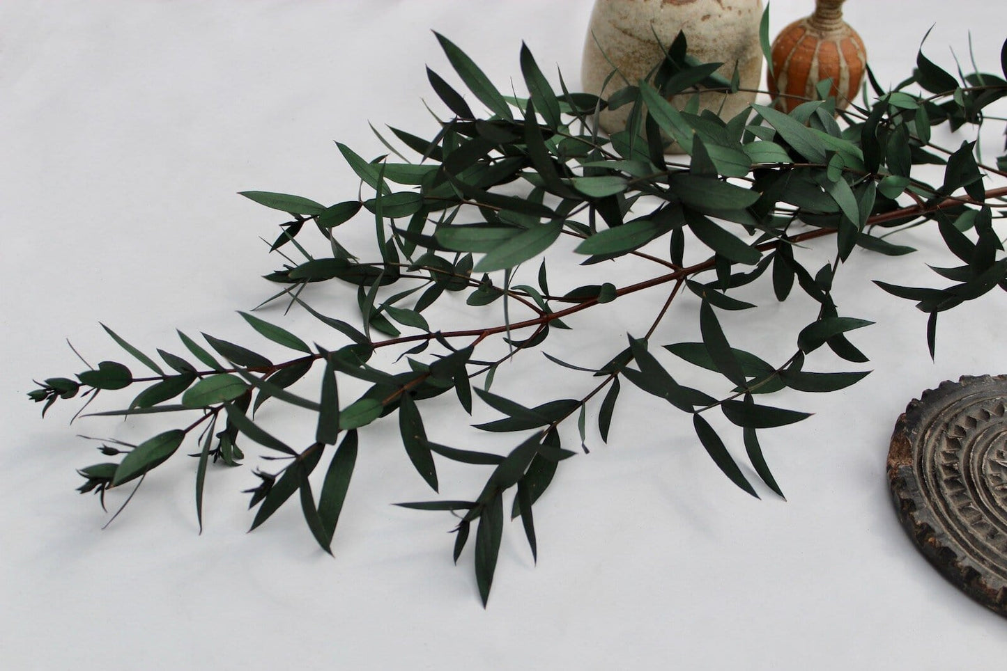 Preserved Eucalyptus Parvifolia Bunch, Green - Ivy Nook